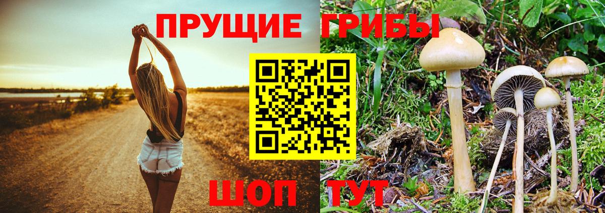 Псилоцибиновые грибы ЛСД  Вход с VPN  Серпухов  купить закладку  Галлюциногенные грибы ЛСД 
